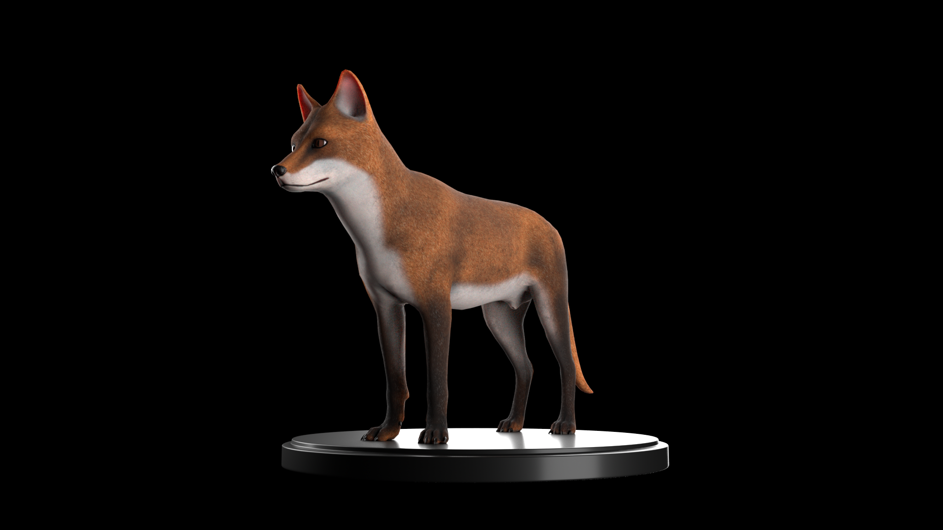 Wild Fox