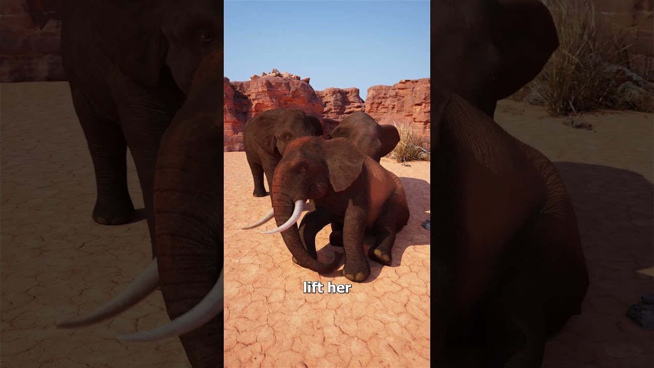 Do Elephants Really Mourn Their Dead?